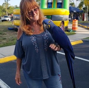 Meet your Posher, Keriellen